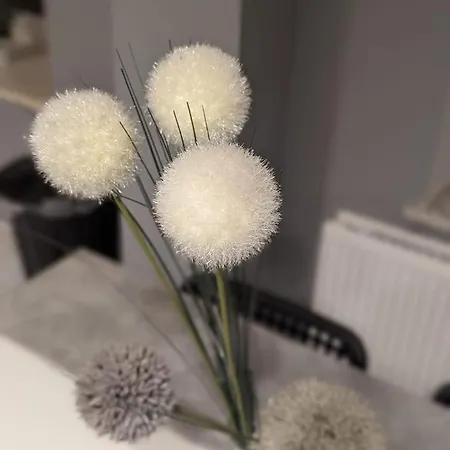 Zentrum 69 05 * 弗伦斯堡